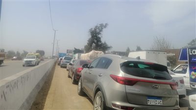 شلل مروري بطريق طنطا الإسكندرية الزراعي بسبب عطل بوابات مزلقان ديما الإلكترونية | صور