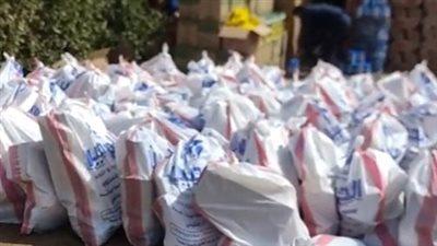 شيكارة وزنها 50 كيلو.. حملة لتوزيع سلع غذائية على المحتاجين في رمضان | فيديو 