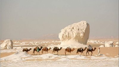 الصحراء البيضاء متحفا مفتوحا لدراسة البيئة الصحراوية ومرصدا لعلماء الفلك | صور 