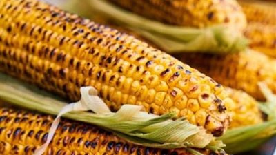 800 جنيه زيادة في سعر طن الذرة الصفراء المستوردة