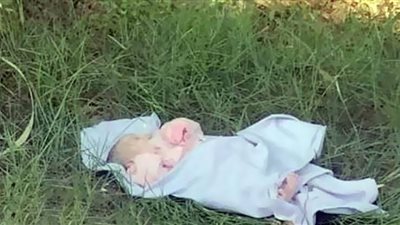 الثاني خلال 24 ساعة.. العثور على طفل حديث الولادة في المنوفية