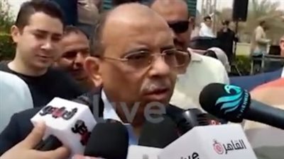  وزير التنمية المحلية ومحافظ القاهرة يشهدان احتفالية اليوم العالمي لليتيم بحديقة الأزهر | فيديو