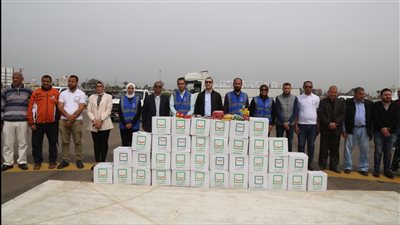 محافظ كفر الشيخ: توزيع 12 ألف كرتونة كدفعة أولى للأسر الأولى ضمن حياة كريمة