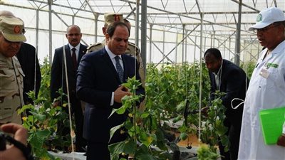يحقق الأمن الغذائي لـ25 مليون مواطن.. افتتاح ثاني أكبر مشروع زراعي على مستوى العالم قريبا 