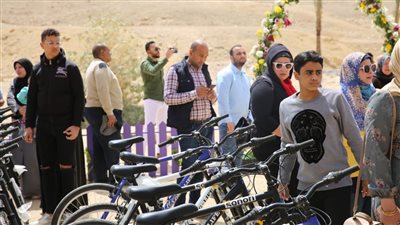 الجائزة 300 دراجة هوائية.. تعرف على شروط التقديم في مسابقة وزارة البيئة 