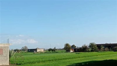 طقس حار وشمس ساطعة بالمنوفية والشرقية في ثالث أيام شهر رمضان | بث مباشر