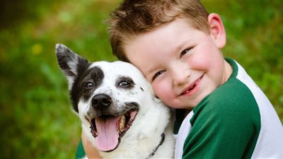 دراسة: الكلاب تمتلك نظرية العقل وتشعر بمعاملة أصحابهم سواء باللين أو القسوة