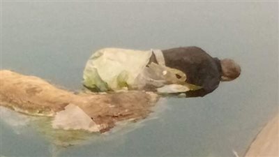 العثور على جثة شخص مجهول الهوية ملقاة في إحدى ترع طنطا