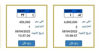 لوحة معدنية بـ4.6 مليون جنيه.. وخبير مروري: مصادرة مبلغ التأمين حال عدم الشراء 
