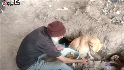 إنسانيته أفقدته وظيفته.. عم عباس: كنت بأكل الكلاب والشركة فصلتني | فيديو 