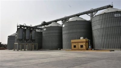 صوامع وتطوير طرق.. الشرقية تستعد لحصاد محصولي القمح والبنجر | صور