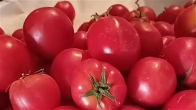 بث مباشر| البامية بـ 80 جنيهًا والطماطم بـ 25.. ارتفاع جنوني في أسعار الخضروات والفواكه اليوم بالأسواق