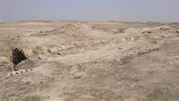 تل أبو صيفي بمحافظة