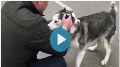 أوكراني يعثر على كلبه بعد أن فرقتهما الحرب يثير تفاعل مواقع التواصل| فيديو