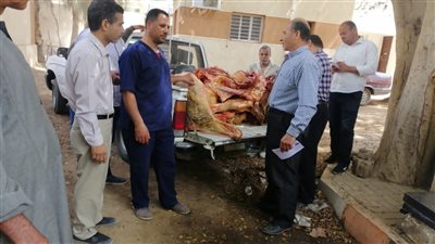 ضبط لحوم مذبوحة خارج السلخانة بالمنيا