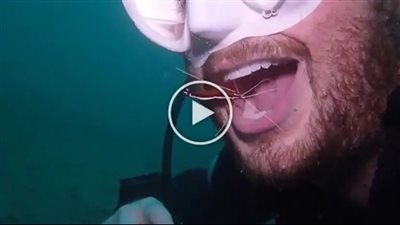 طبيب اسنان ينظف فمه تحت الماء باستخدام الجمبري| فيديو