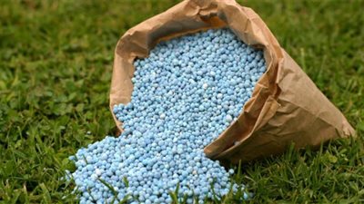 الزراعة عن وجود عجز أسمدة في بعض المحافظات: لدينا 125 ألف طن رصيدا في الجمعيات 