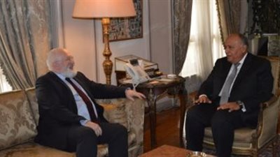 شكري ونائب مفوضية الاتحاد الأوروبي يتفقان على تعزيز التعاون الثنائي والإقليمي