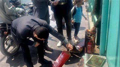 ضبط 3 معديات لمخالفتها اشتراطات التحميل والإنقاذ في البحيرة