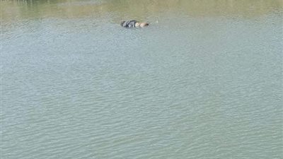 العثور على جثة مجهولة الهوية طافية في ترعة البوهية بالدقهلية