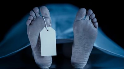 القبض على 4 أشخاص بتهمة قتل سيدة عجوز بالغربية.. والتحريات: بدافع السرقة