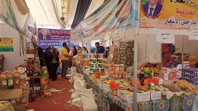 الأرز بـ 10 جنيهات واللحمة بـ110.. تخفيضات كبيرة داخل معرض أهلًا رمضان بالمنيا │ فيديو