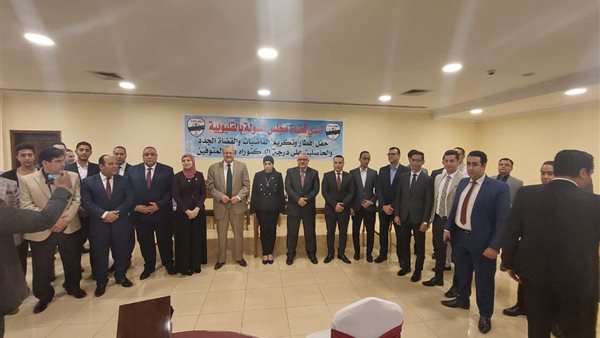 قضاه مجلس الدولة