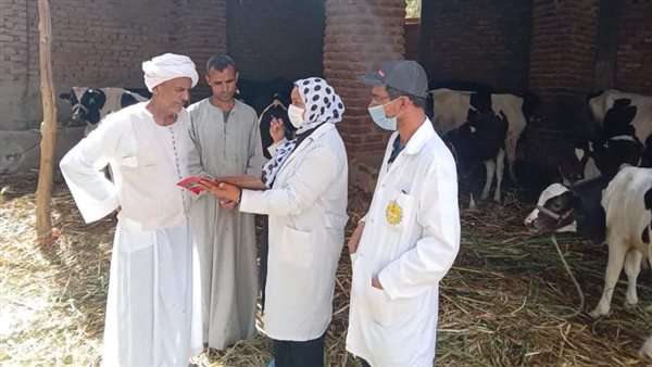 أثناء تحصين المواشي