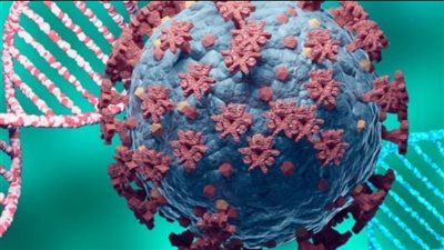 عقِب رصد حالتي إصابة بـ متحور كورونا EG5.. أبرز الإجراءات الحكومية للسيطرة عليه | بث مباشر 