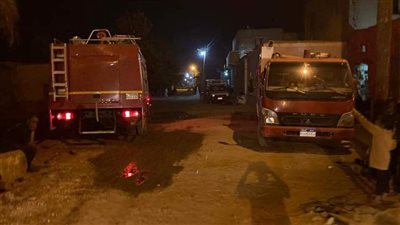 السيطرة على حريق نشب في 200 نخلة و8 منازل ونفوق 6 رؤوس مواشي بإدفو