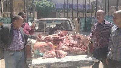 بيطري المنيا: ضبط لحوم مذبوحة خارج المجازر