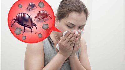 جمعية الرئة الأمريكية: تتشابه أعراض عث الغبار مع الحساسية الموسمية