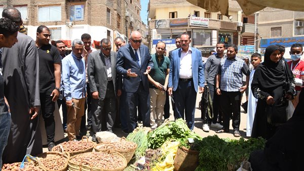 محافظ قنا يتابع حركة