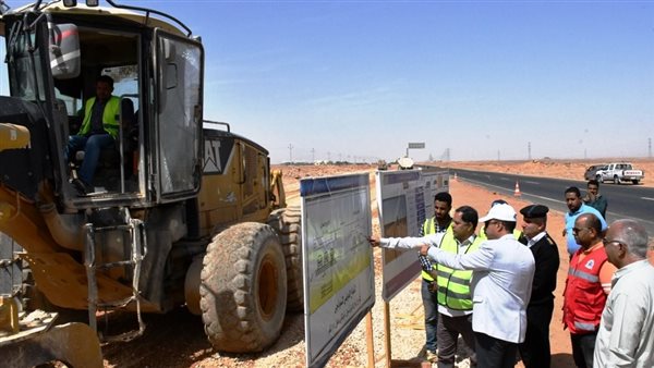 محافظ أسوان