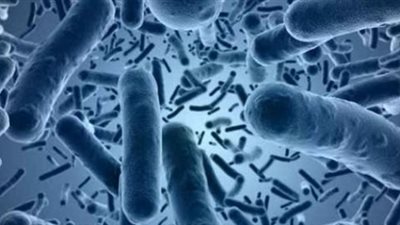 داء أو تسمم يصيب النساء الحوامل.. ما هي أعراض مرض الليستريا؟