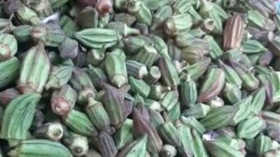 الفراخ بـ 48 جنيهًا والحمام بـ 80 والبامية بـ 70 بالأسواق اليوم | بث مباشر