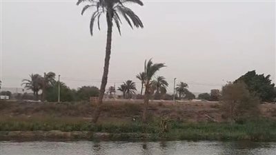 طقس ربيعي على محافظة المنيا.. والأرصاد تحذر من حالة الطقس الغد | بث مباشر