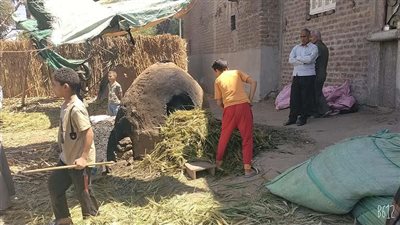 ستواجه بعقوبات رادعة.. الزراعة تكشف تفاصيل حرق محصول القمح في أسيوط | فيديو