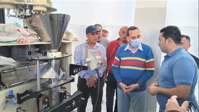 تضم 48 ورشة حرفية.. محافظ شمال سيناء يتفقد المنطقة الصناعية بالعريش