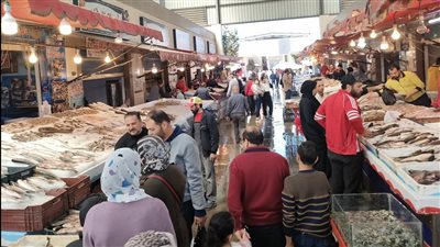 الجوابي بـ 80.. سوق الأسماك المطور ببورسعيد يشهد إقبالا كبيرًا من المواطنين | صور