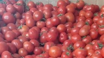 بث مباشر| انخفاض بأسعار الخضار وارتفاع في الأسماك وثبات بالطيور اليوم بالأسواق