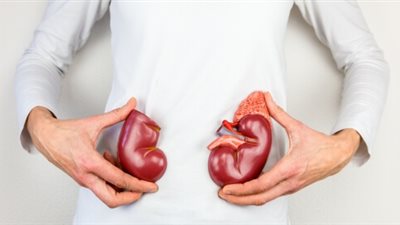 أطعمة تعمل على تحسين صحة الكلى.. تعرف عليها