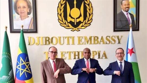 اجتماع سفراء مصر