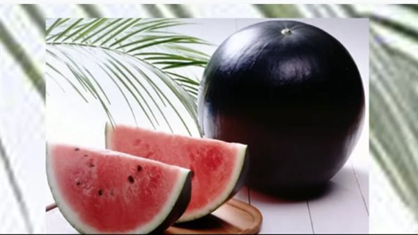 بطيخ دينسوك الياباني