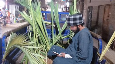 برغم ارتفاع الأسعار.. إقبال متزايد على شراء السعف للاحتفال بأحد الشعانين في سوهاج | صور