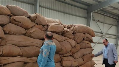 رئيس مدينة إهناسيا يتفقد شونة استلام الأقماح ببني سويف