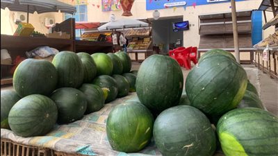 الطماطم بـ5 جنيهات والبطيخة بـ50.. أسعار الخضروات والفاكهة اليوم بأسواق بورسعيد | صور