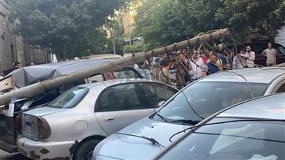 سقوط 4 أعمدة إنارة بمطروح بسبب شدة الرياح والطقس السيئ | بث مباشر