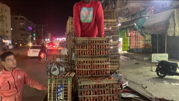 الطماطم بـ 5 علي