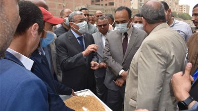 محافظ المنيا يتابع بدء موسم توريد القمح ويستقبل أول سيارة بـ صومعة نفرتيتي